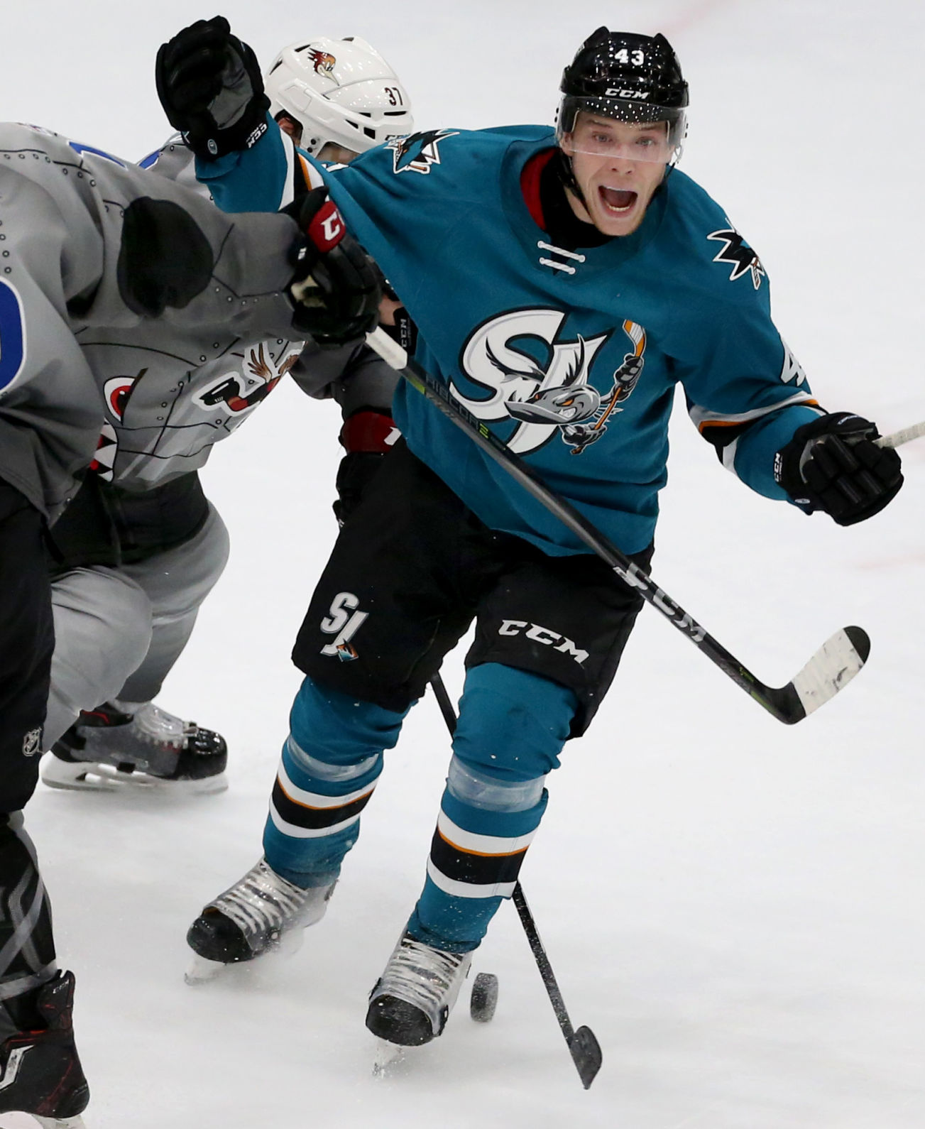 Roadrunners vs San Jose